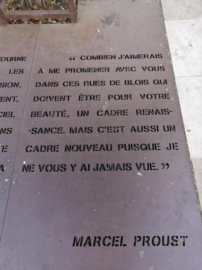 블루아 Au Fil De Loire 아파트 외부 사진